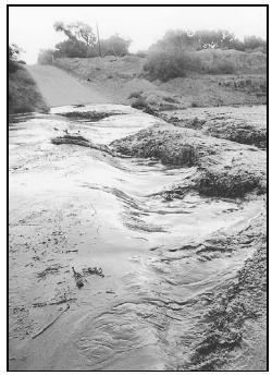 Within a minute, a nearly dry creek bed can become a roaring torrent, totally submerging the road. (Photo by Jack Shaffer, Arizona Daily Star. Reproduced by permission.)